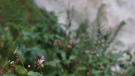 DSC01641.JPG