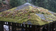 DSC01643.JPG