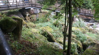DSC01646.JPG