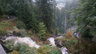 DSC01649.JPG