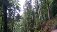 DSC01652.JPG
