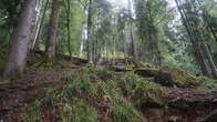 DSC01656.JPG