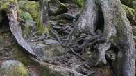 DSC01657.JPG