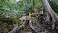 DSC01658.JPG