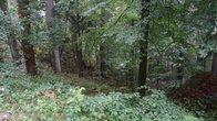 DSC01667.JPG