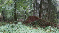 DSC01668.JPG