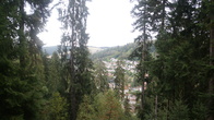 DSC01670.JPG