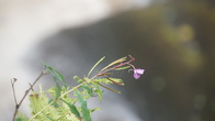 DSC01682.JPG