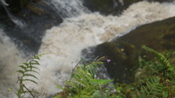 DSC01683.JPG