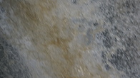 DSC01684.JPG