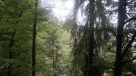 DSC01688.JPG