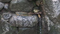 DSC01690.JPG