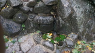 DSC01691.JPG