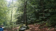 DSC01694.JPG