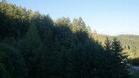 DSC01700.JPG