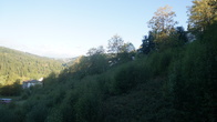 DSC01703.JPG