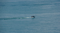 DSC01724.JPG