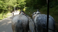 DSC01793.JPG