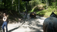 DSC01802.JPG