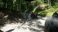 DSC01803.JPG