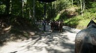 DSC01804.JPG