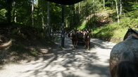 DSC01805.JPG