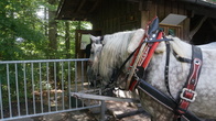 DSC01807.JPG