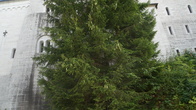 DSC01819.JPG