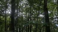 DSC01851.JPG