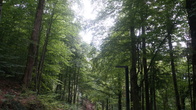 DSC01852.JPG