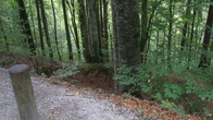 DSC01854.JPG