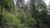 DSC01856.JPG