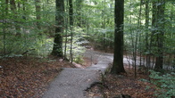 DSC01858.JPG