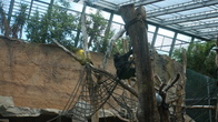 DSC01911.JPG