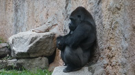 DSC01917.JPG