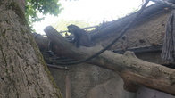 DSC01918.JPG
