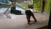 DSC01919.JPG