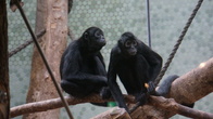 DSC01926.JPG