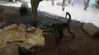 DSC01927.JPG