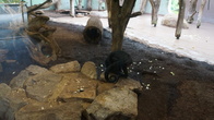 DSC01930.JPG