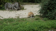 DSC01937.JPG