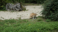 DSC01938.JPG
