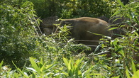 DSC01947.JPG
