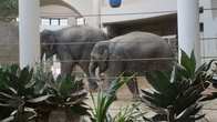 DSC01950.JPG