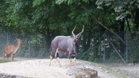 DSC01952.JPG