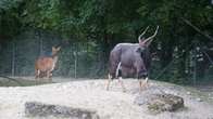 DSC01953.JPG