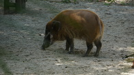 DSC01957.JPG
