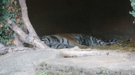 DSC01962.JPG