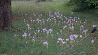 DSC01966.JPG