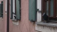 DSC02058.JPG